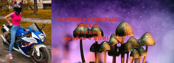 ПСИЛОЦИБИНОВЫЕ ГРИБЫ Нягань