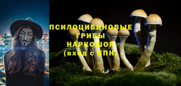 марки nbome Няндома
