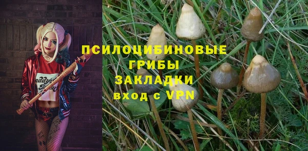 а пвп мука Дегтярск