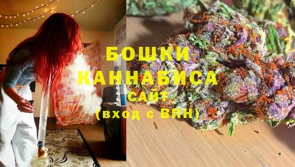 сатива Нязепетровск